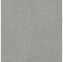 Šedá dlažba z jemné kameniny