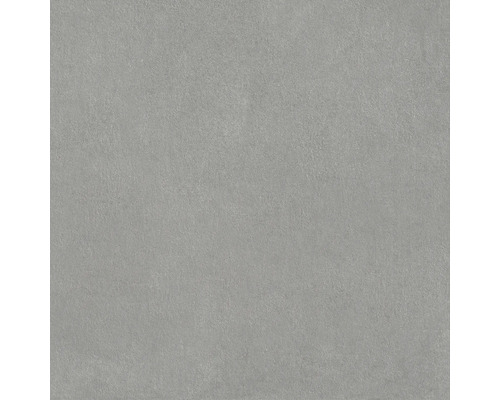 Šedá dlažba z jemné kameniny