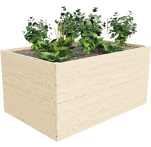 Dřevěný vyvýšený záhon s rostlinami