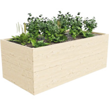 Dřevěný vyvýšený záhon s rostlinami