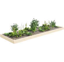 Dřevěný vyvýšený záhon s rostlinami