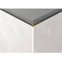 Rohový pohled na strop s dlaždicovým profilem