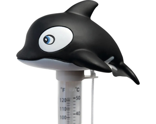 Bazénový teploměr s designem kosatky pro měření teploty
