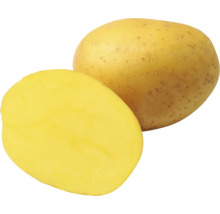 Celá a půlka syrové brambory