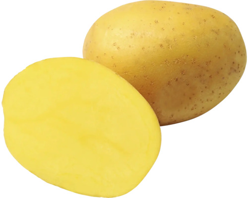 Celá a půlka syrové brambory