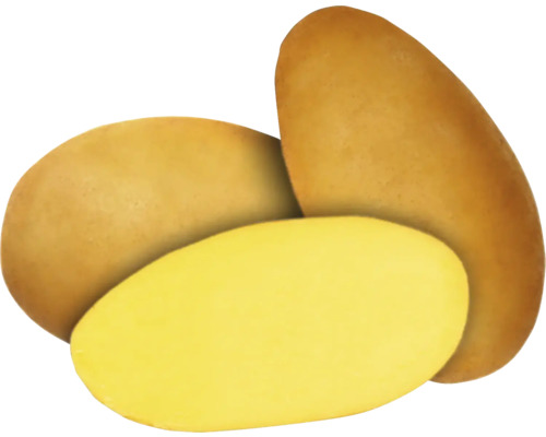 Tři brambory, jedna rozpůlená