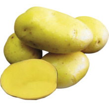 Několik brambor, z nichž jedna je rozpůlená