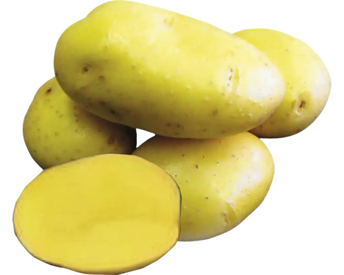 Několik brambor, z nichž jedna je rozpůlená