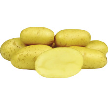 Žluté brambory, některé naskládané, jedna rozpůlená