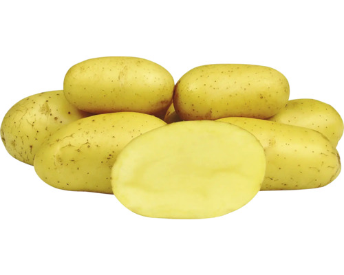 Žluté brambory, některé naskládané, jedna rozpůlená