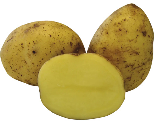 Tři brambory, jedna rozpůlená