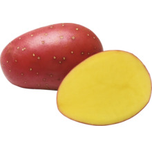 Červená brambora, rozkrojená