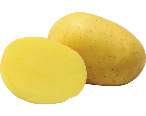 Celá brambora a půl brambory