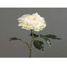 Dekorativní pivoňka se stonkem a listy