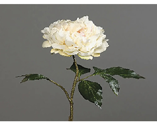 Dekorativní pivoňka se stonkem a listy