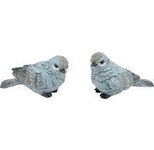 Dva ozdobní ptáci do zahrady