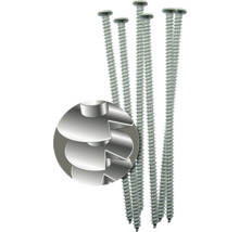 Několik šroubů s čočkovitou hlavou a zvětšeným průřezem hlavy šroubu.