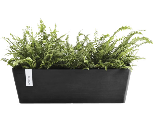 Obdélníkový černý truhlík Ecopots se zelenými kapradinami.