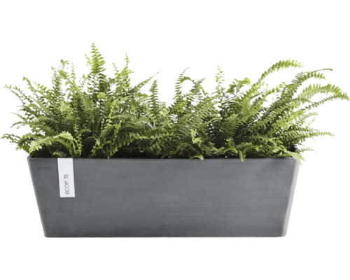 Antracitový obdélníkový truhlík Ecopots z recyklovaného plastu se zelenými kapradinami.