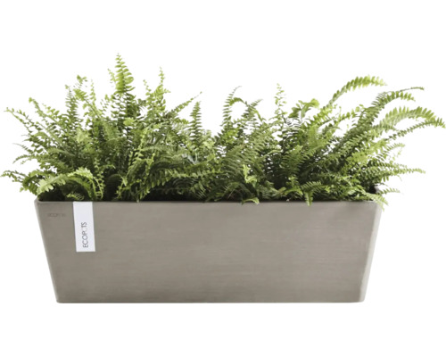 Obdélníkový truhlík ECOPOTS osázený zelenými kapradinami.