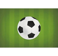 Fotbalový míč na trávníku