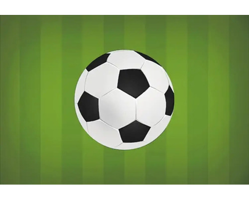 Fotbalový míč na trávníku