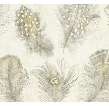 Tapeta s detailním vzorem peří zobrazující různé druhy per, jako jsou tečkovaná a paví pera.