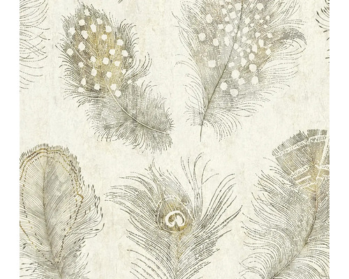 Tapeta s detailním vzorem peří zobrazující různé druhy per, jako jsou tečkovaná a paví pera.