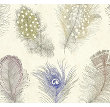 Tapeta se vzorem peří, různá pera včetně pavích per v načrtnutém stylu.