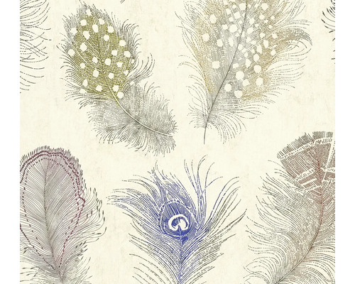 Tapeta se vzorem peří, různá pera včetně pavích per v načrtnutém stylu.