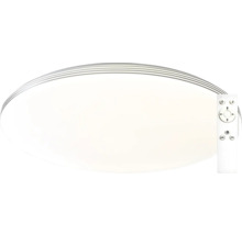 Oválné stropní svítidlo s dálkovým ovládáním