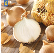 Cibule, některé nakrájené, na dřevěném stole