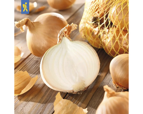 Cibule, některé nakrájené, na dřevěném stole