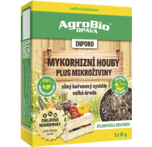 Balení mykorhizních hub s mikroživinami