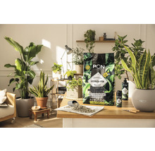 LECHUZA-PON pěstební substrát pro pokojové rostliny na stole s pokojovými rostlinami