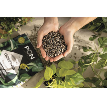 Hrst rostlinného substrátu Lechuza Pon nad balením a rostlinami