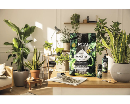 LECHUZA-PON pěstební substrát pro pokojové rostliny na stole s pokojovými rostlinami