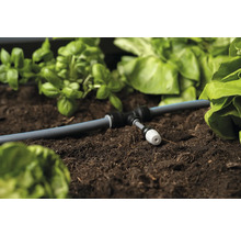 Zavlažovací systém v záhonu se zeleninou a bylinkami