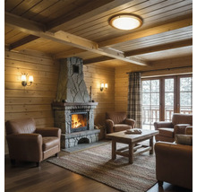 Obývací pokoj s dřevěnými stěnami, kamenným krbem a koženými křesly