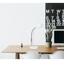 Psací stůl se stolní lampou, rostlinou a kalendářem