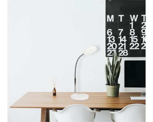 Psací stůl se stolní lampou, rostlinou a kalendářem