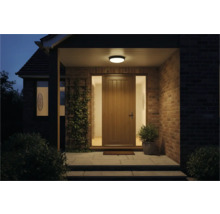 Vchod do domu s vchodovými dveřmi, osvětlením a rostlinami