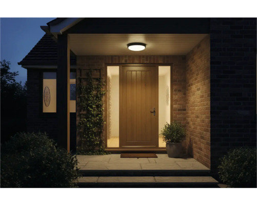 Vchod do domu s vchodovými dveřmi, osvětlením a rostlinami