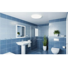 Světlá koupelna se sprchou, umyvadlem, zrcadlem a toaletou