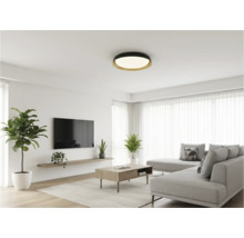 Obývací pokoj se stropním svítidlem, pohovkou, kobercem a pokojovými rostlinami