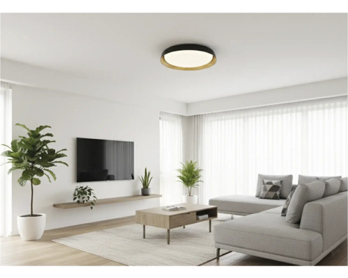 Obývací pokoj se stropním svítidlem, pohovkou, kobercem a pokojovými rostlinami