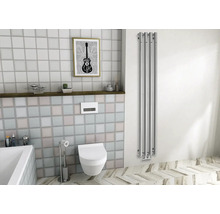 Moderní koupelna s toaletou, radiátorem na ručníky a dekorací