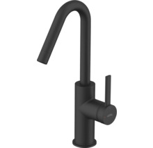 Kuchyňská baterie Avital s vysokým výtokem