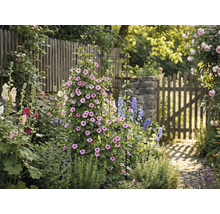 Zahradní scéna s podpěrou pro rostliny, květinami a zahradní cestou