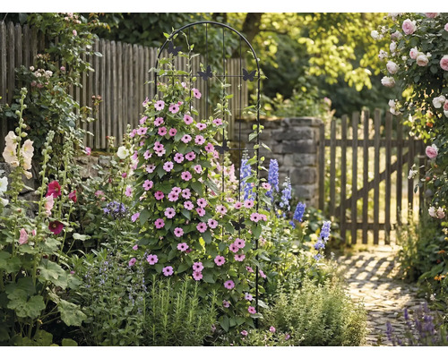 Zahradní scéna s podpěrou pro rostliny, květinami a zahradní cestou